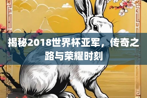 揭秘2018世界杯亚军，传奇之路与荣耀时刻