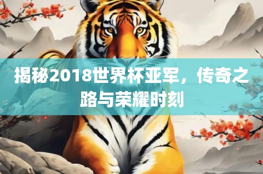揭秘2018世界杯亚军，传奇之路与荣耀时刻