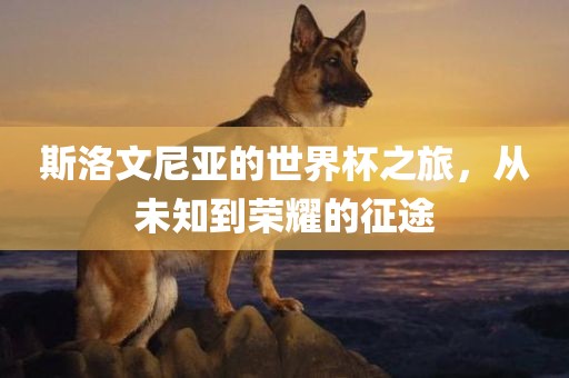 斯洛文尼亚的世界杯之旅，从未知到荣耀的征途