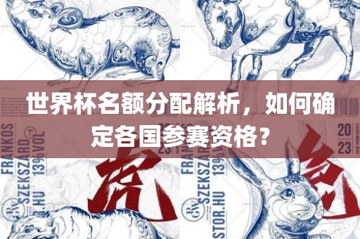 世界杯名额分配解析，如何确定各国参赛资格？