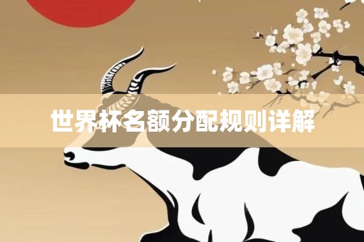 世界杯名额分配规则详解