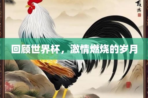 回顾世界杯，激情燃烧的岁月