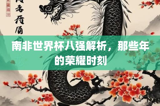 南非世界杯八强解析，那些年的荣耀时刻