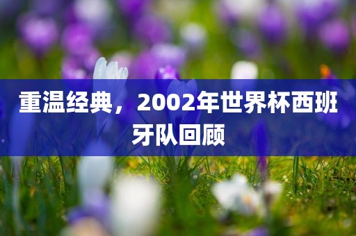 重温经典，2002年世界杯西班牙队回顾