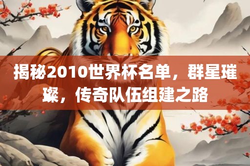 揭秘2010世界杯名单，群星璀璨，传奇队伍组建之路