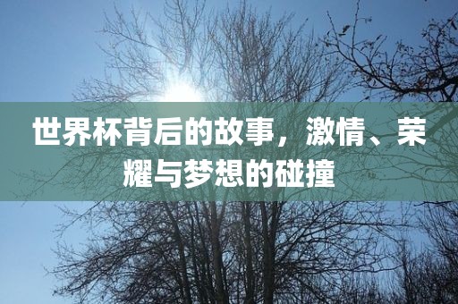 世界杯背后的故事，激情、荣耀与梦想的碰撞