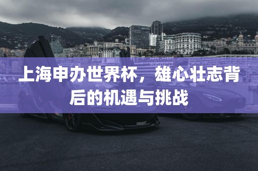 上海申办世界杯，雄心壮志背后的机遇与挑战