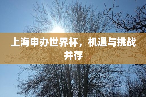 上海申办世界杯，机遇与挑战并存