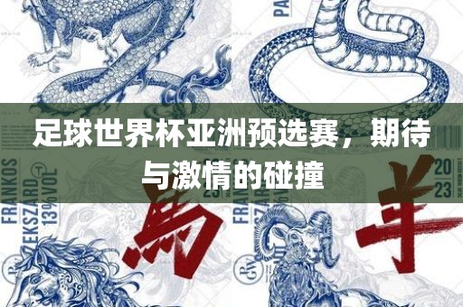足球世界杯亚洲预选赛，期待与激情的碰撞