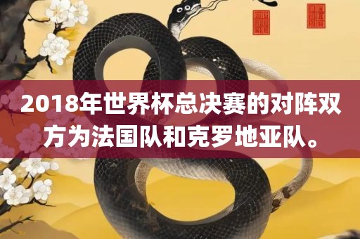 2018年世界杯总决赛的对阵双方为法国队和克罗地亚队。