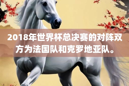 2018年世界杯总决赛的对阵双方为法国队和克罗地亚队。