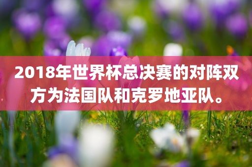 2018年世界杯总决赛的对阵双方为法国队和克罗地亚队。