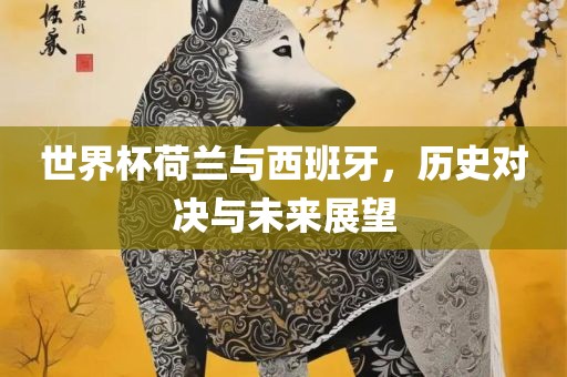 世界杯荷兰与西班牙，历史对决与未来展望