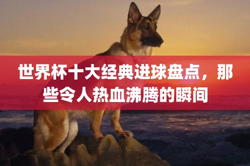 世界杯十大经典进球盘点，那些令人热血沸腾的瞬间