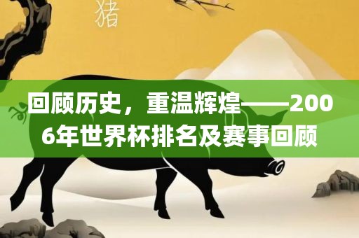 回顾历史，重温辉煌——2006年世界杯排名及赛事回顾