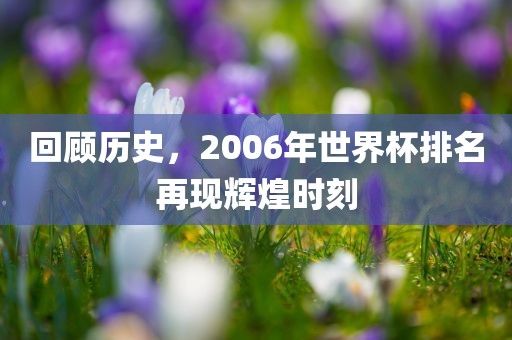 回顾历史，2006年世界杯排名再现辉煌时刻