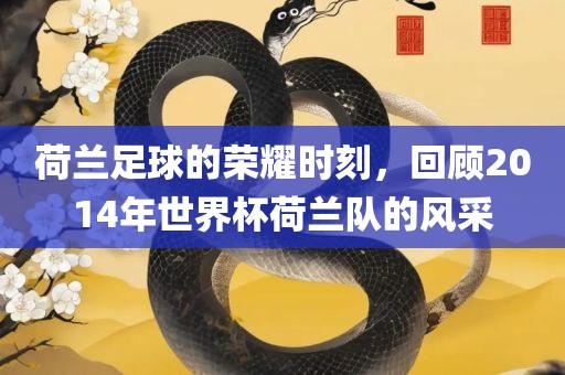 荷兰足球的荣耀时刻，回顾2014年世界杯荷兰队的风采