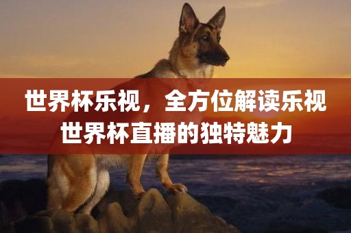 世界杯乐视，全方位解读乐视世界杯直播的独特魅力