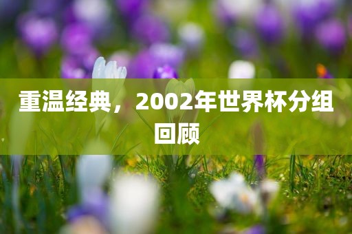 重温经典，2002年世界杯分组回顾