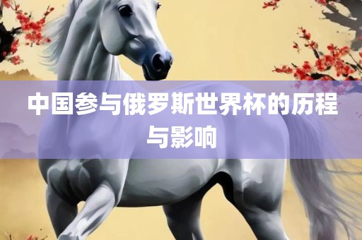 中国参与俄罗斯世界杯的历程与影响