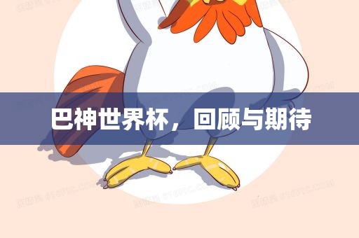 巴神世界杯，回顾与期待