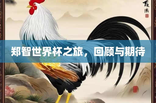 郑智世界杯之旅，回顾与期待