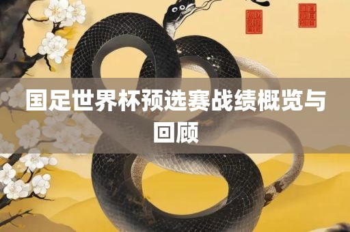 国足世界杯预选赛战绩概览与回顾