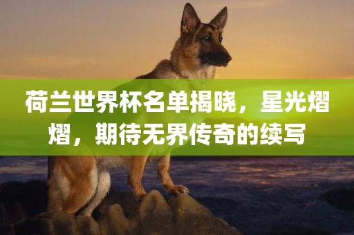 荷兰世界杯名单揭晓，星光熠熠，期待无界传奇的续写广州鸿业环保设备有限公司