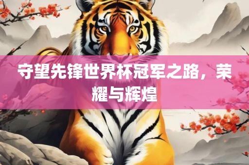 守望先锋世界杯冠军之路，荣耀与辉煌