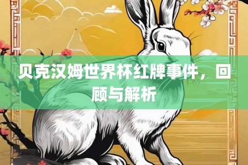 贝克汉姆世界杯红牌事件，回顾与解析