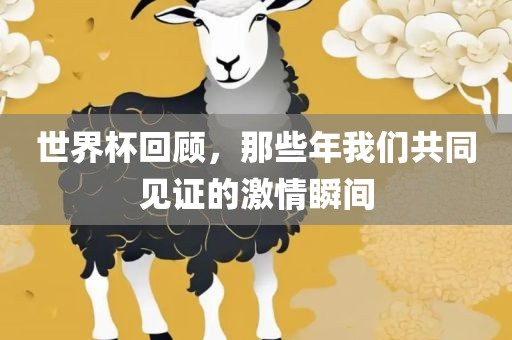 世界杯回顾，那些年我们共同见证的激情瞬间广州鸿业环保设备有限公司