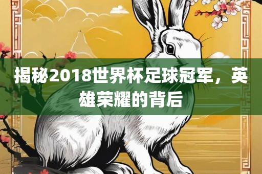 揭秘2018世界杯足球冠军，英雄荣耀的背后