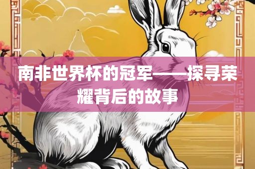 南非世界杯的冠军——探寻荣耀背后的故事