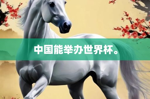 中国能举办世界杯。
