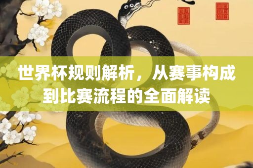世界杯规则解析，从赛事构成到比赛流程的全面解读广州鸿业环保设备有限公司