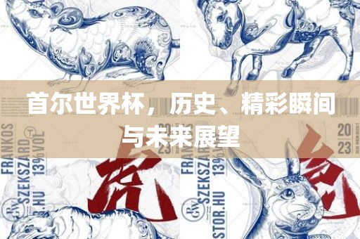 首尔世界杯，历史、精彩瞬间与未来展望