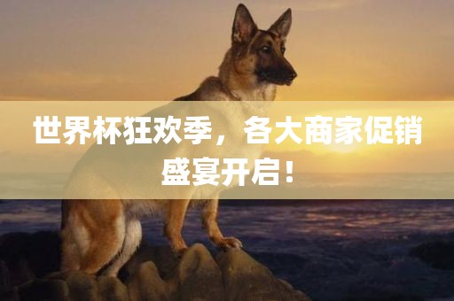 世界杯狂欢季，各大商家促销盛宴开启！