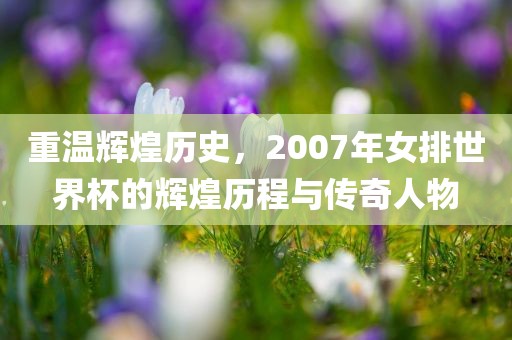 重温辉煌历史，2007年女排世界杯的辉煌历程与传奇人物