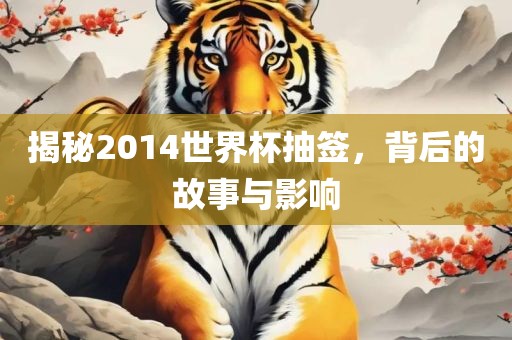 揭秘2014世界杯抽签，背后的故事与影响