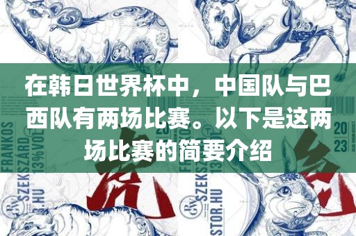 在韩日世界杯中，中国队与巴西队有两场比赛。以下是这两场比赛的简要介绍