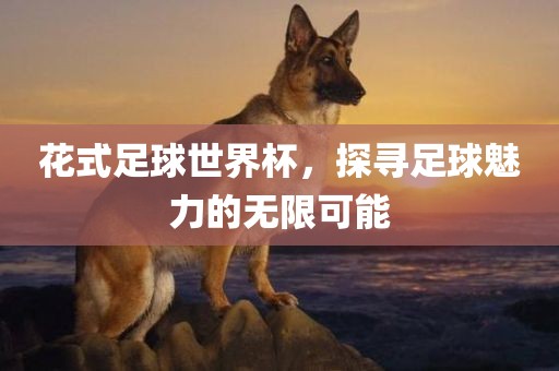 花式足球世界杯，探寻足球魅力的无限可能
