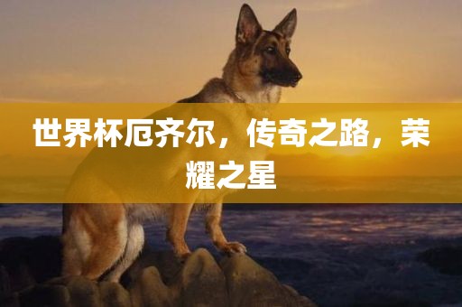 世界杯厄齐尔，传奇之路，荣耀之星