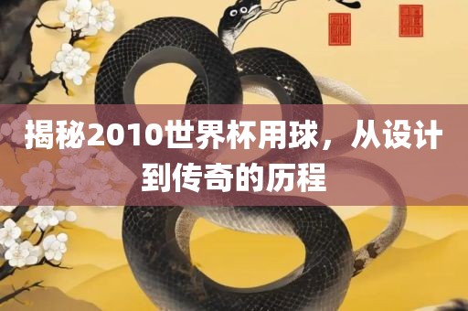 揭秘2010世界杯用球，从设计到传奇的历程