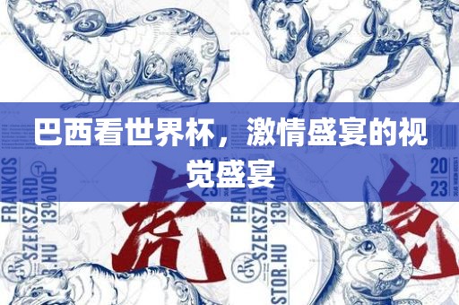 巴西看世界杯，激情盛宴的视觉盛宴