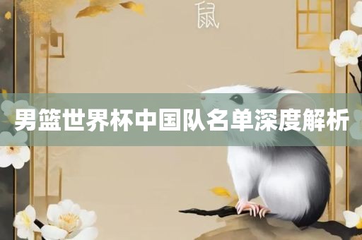男篮世界杯中国队名单深度解析