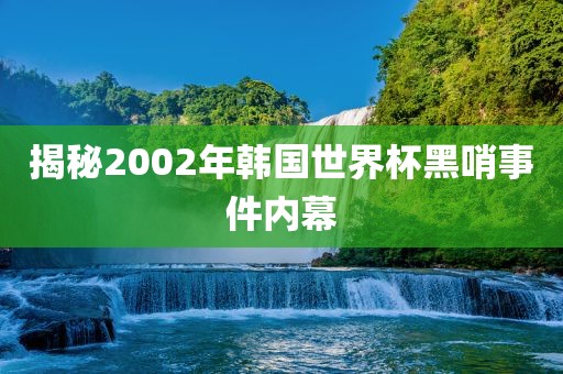揭秘2002年韩国世界杯黑哨事件内幕
