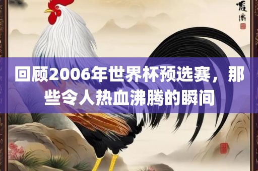 回顾2006年世界杯预选赛，那些令人热血沸腾的瞬间
