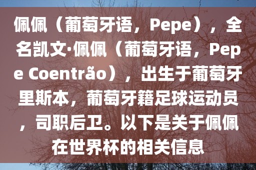 佩佩（葡萄牙语，Pepe），全名凯文·佩佩（葡萄牙语，Pepe Coentr?o），出生于葡萄牙里斯本，葡萄牙籍足球运动员，司职后卫。以下是关于佩佩在世界杯的相关信息