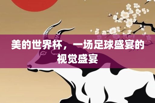 美的世界杯，一场足球盛宴的视觉盛宴