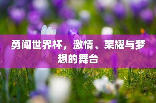 勇闯世界杯，激情、荣耀与梦想的舞台